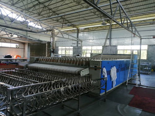 洗滌廠(chǎng)轉(zhuǎn)讓與技術(shù)轉(zhuǎn)讓 全面指南與注意事項(xiàng)